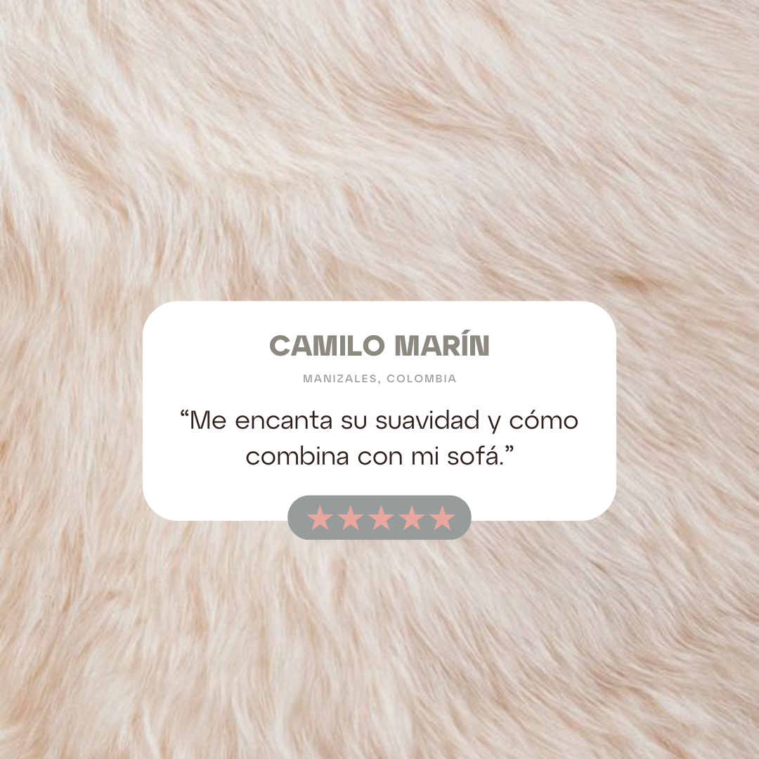 Funda Cojín Peludo Beige