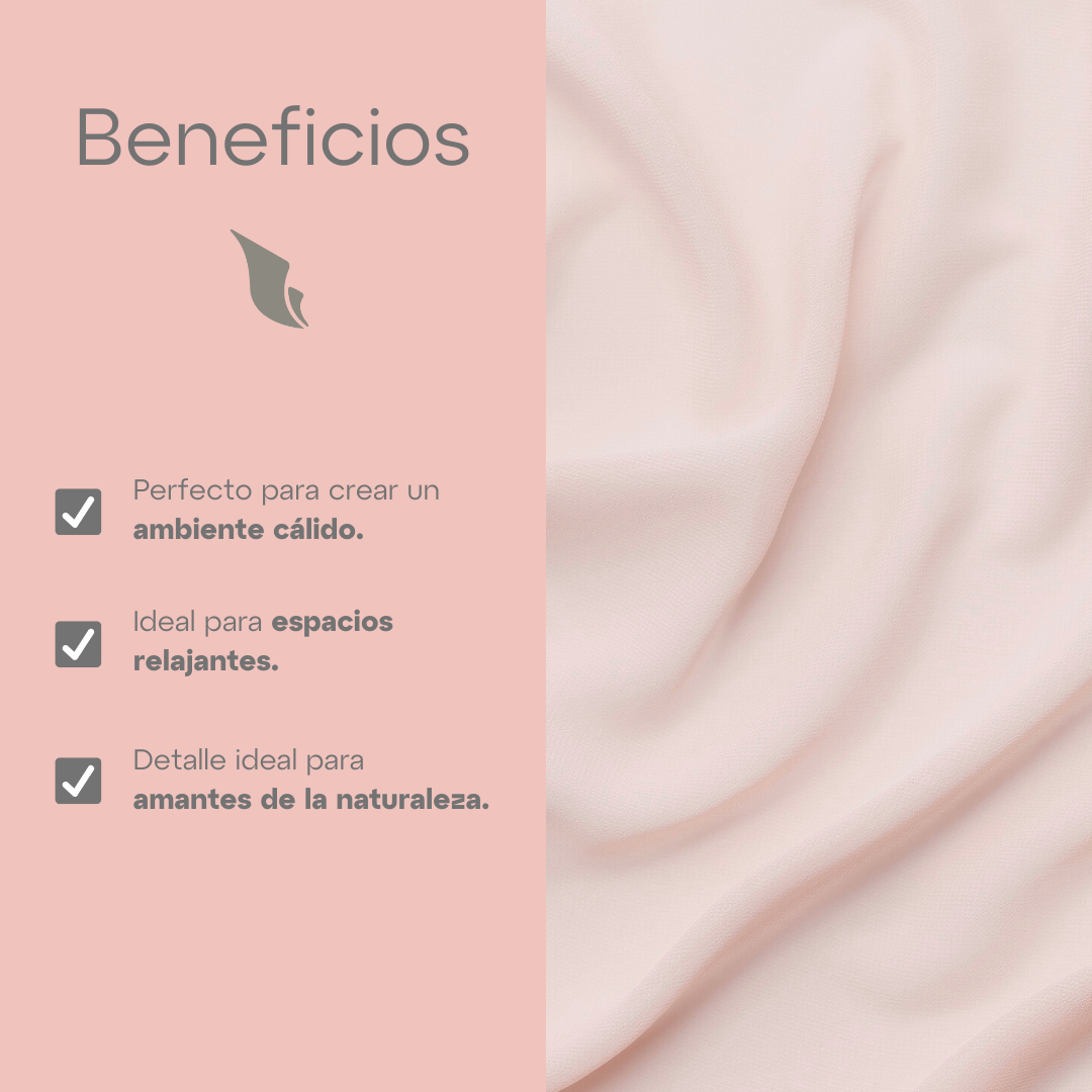 Funda Cojín Estampado Casa para Pájaros