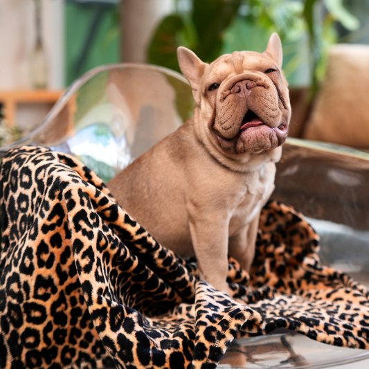 Cobija Alas Pet Animal Print