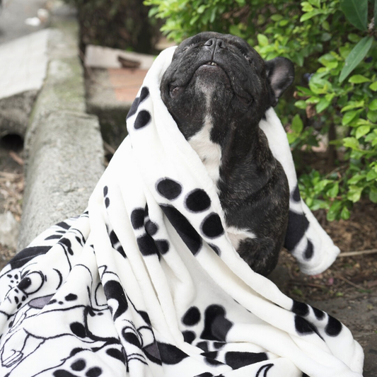 Cobija Alas Pet Dálmata