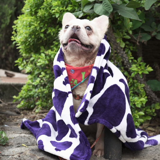 Cobija Pet Roca Azul