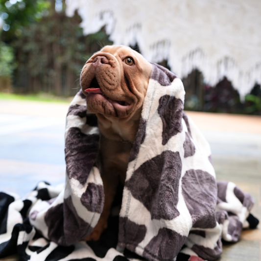 Cobija Pet Roca Gris